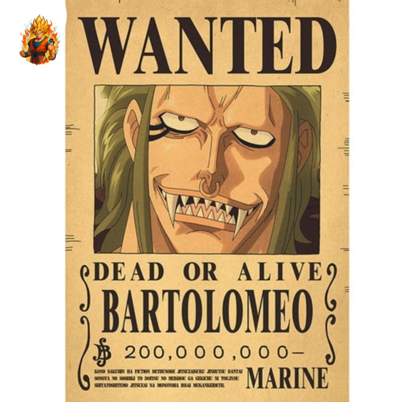 poster-gesucht-bartolomeo-one-piecetm-Ma boutique