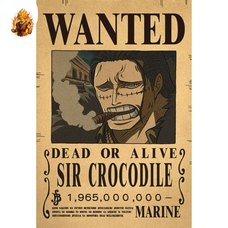 Affiche „Fiche signalétique Crocodile“ – One Piece-Ma boutique